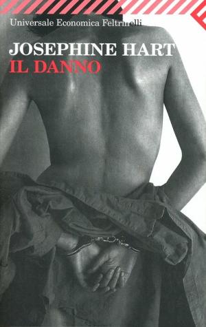 IL DANNO